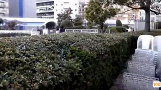 加拿大留学签证骚母狗ZW